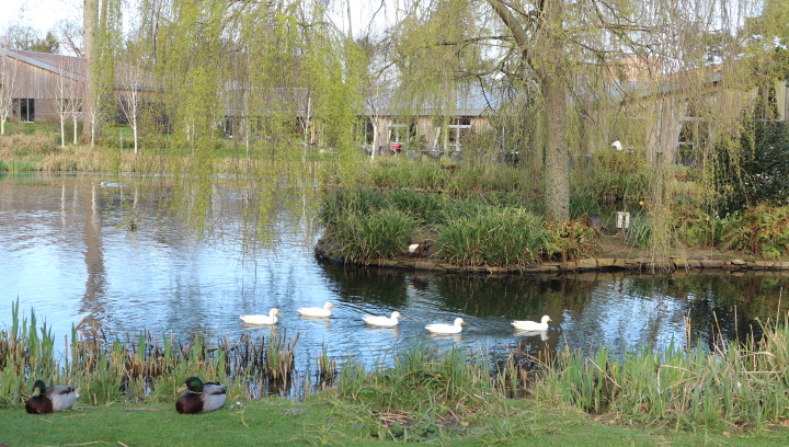 Monart Spa in Ireland