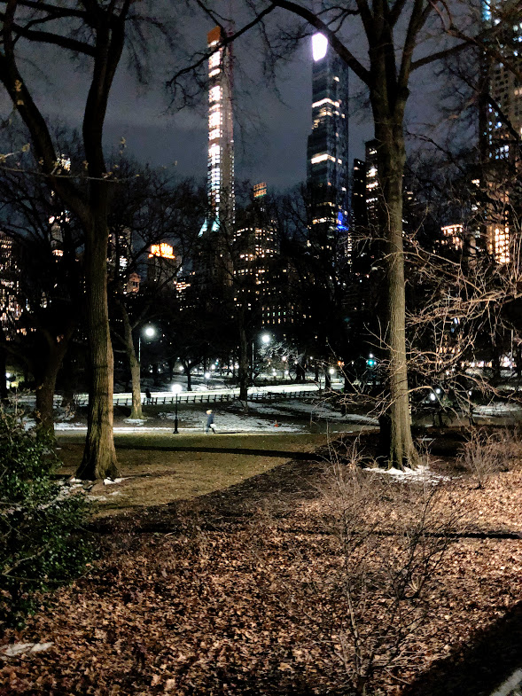 Central Park at night near the Essex House