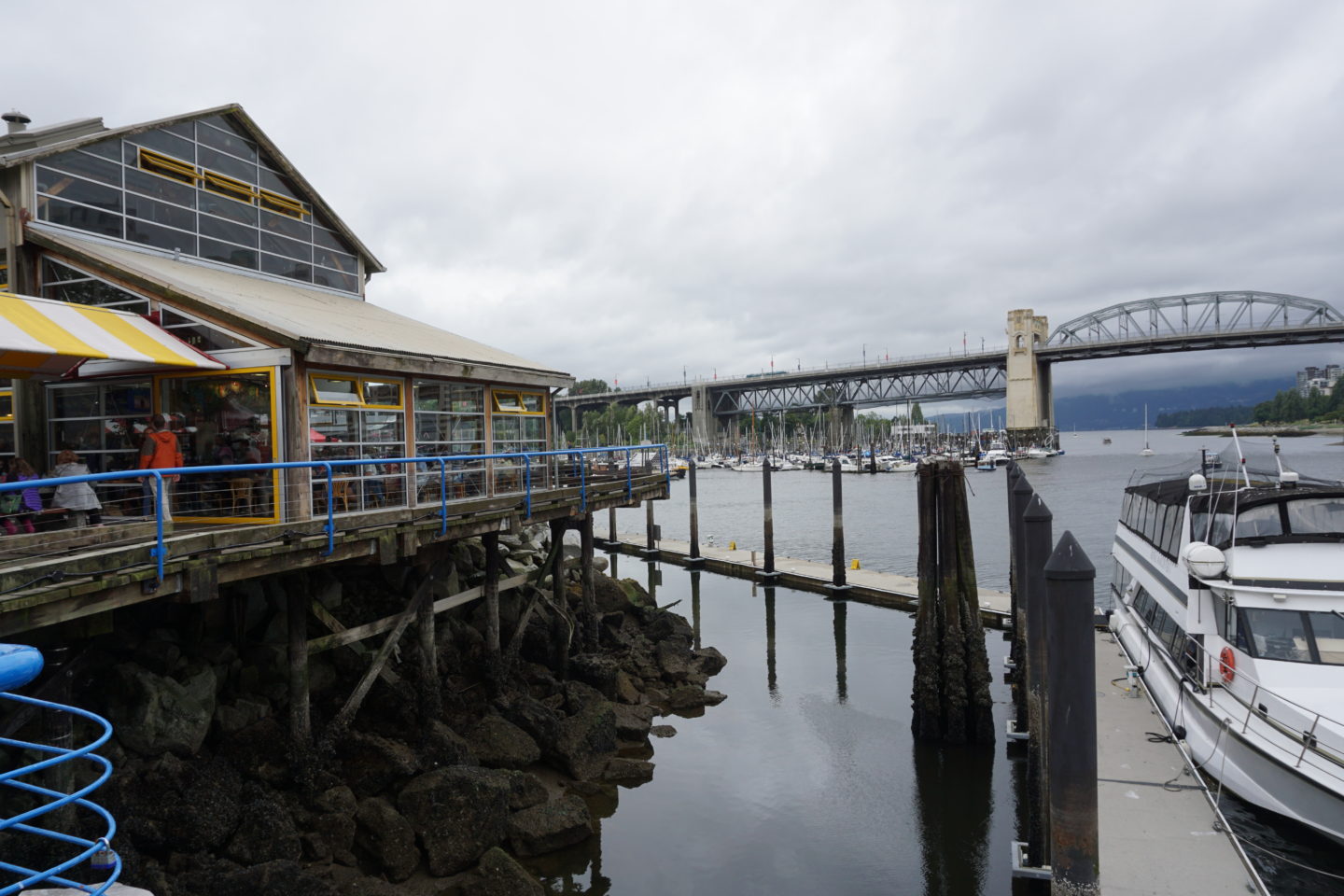 Granville Island- Hello I'm 50ish