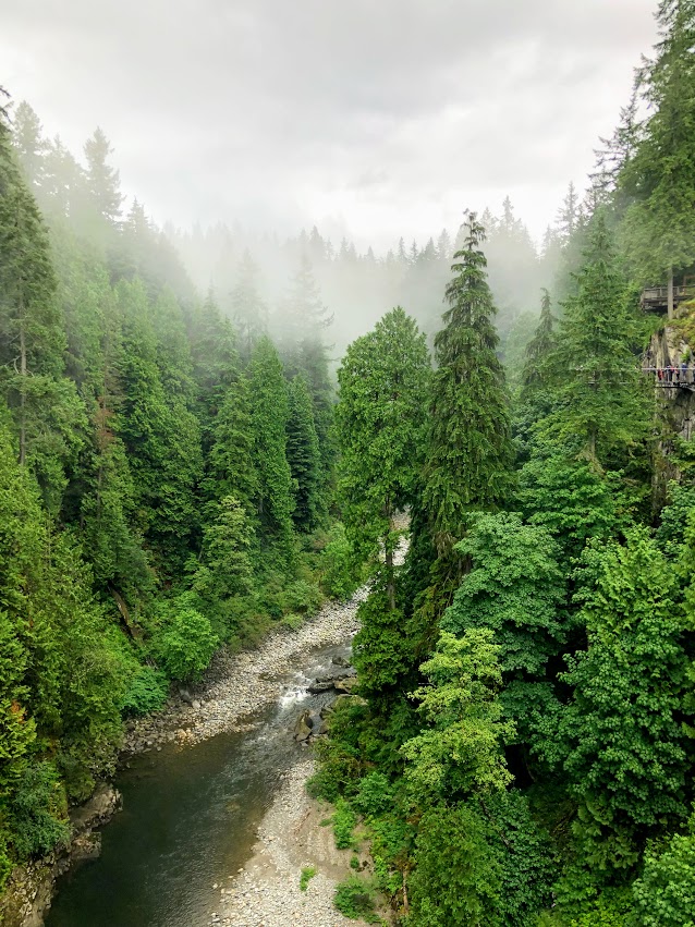 Capilano Suspension Bridge- Hello I'm 50ish
