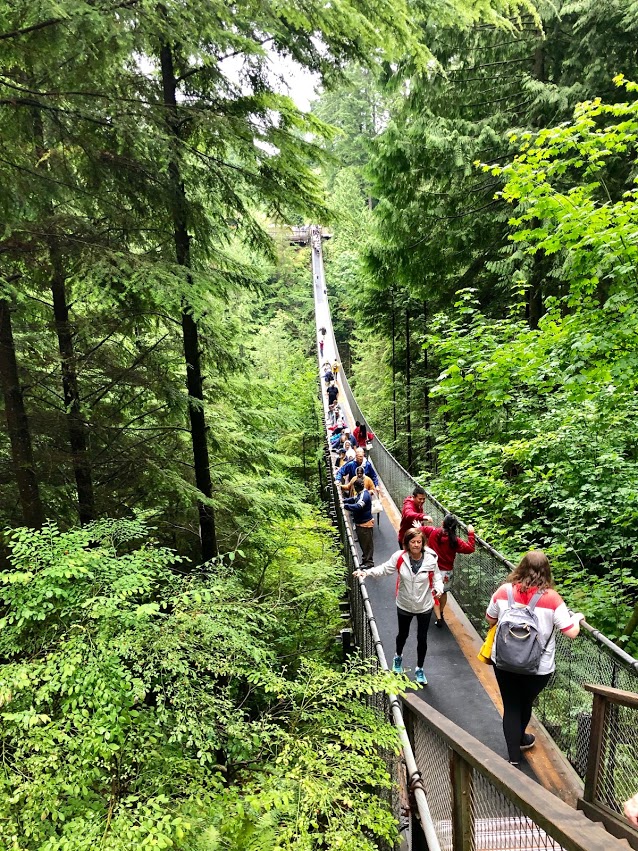 Capilano Suspension Bridge- Hello I'm 50ish