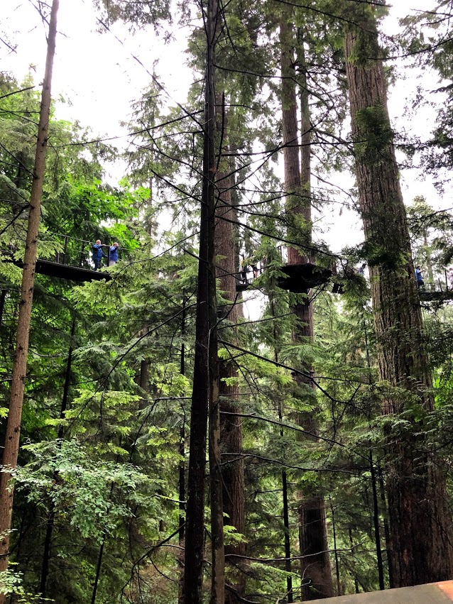 Capilano Suspension Bridge- Hello I'm 50ish