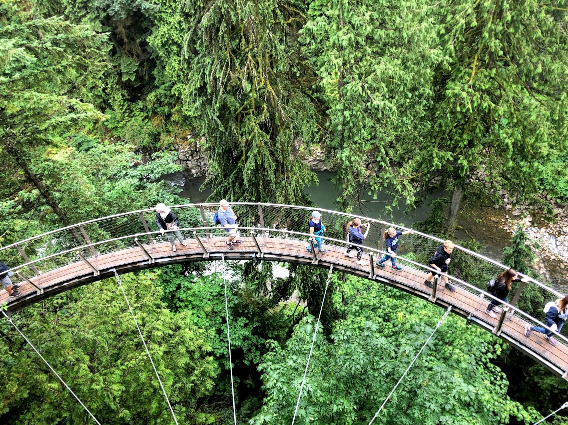 Capilano Suspension Bridge- Hello I'm 50ish