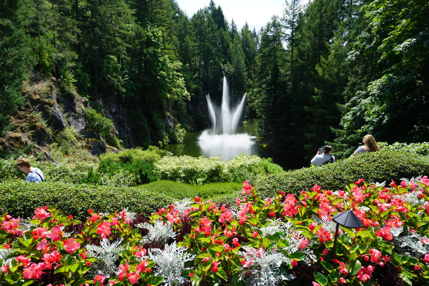 Butchart Gardens- Hello I'm 50ish