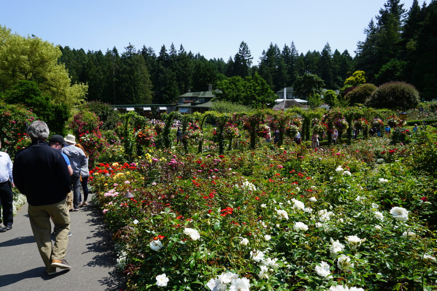 Butchart Gardens- Hello I'm 50ish