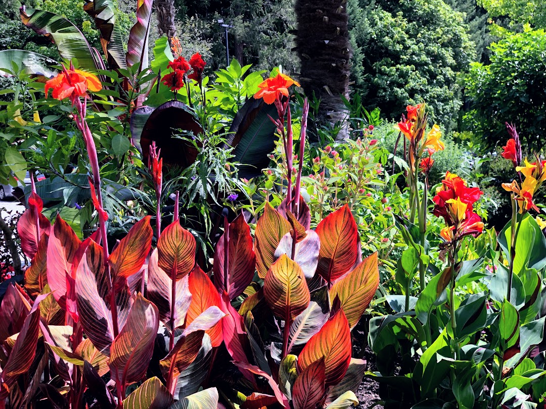 Butchart Gardens- Hello I'm 50ish