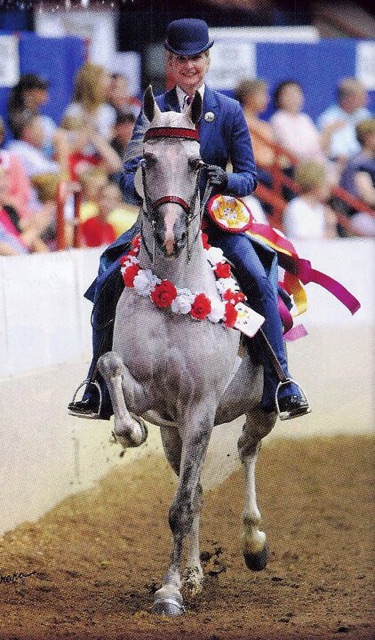 Horse riding competition