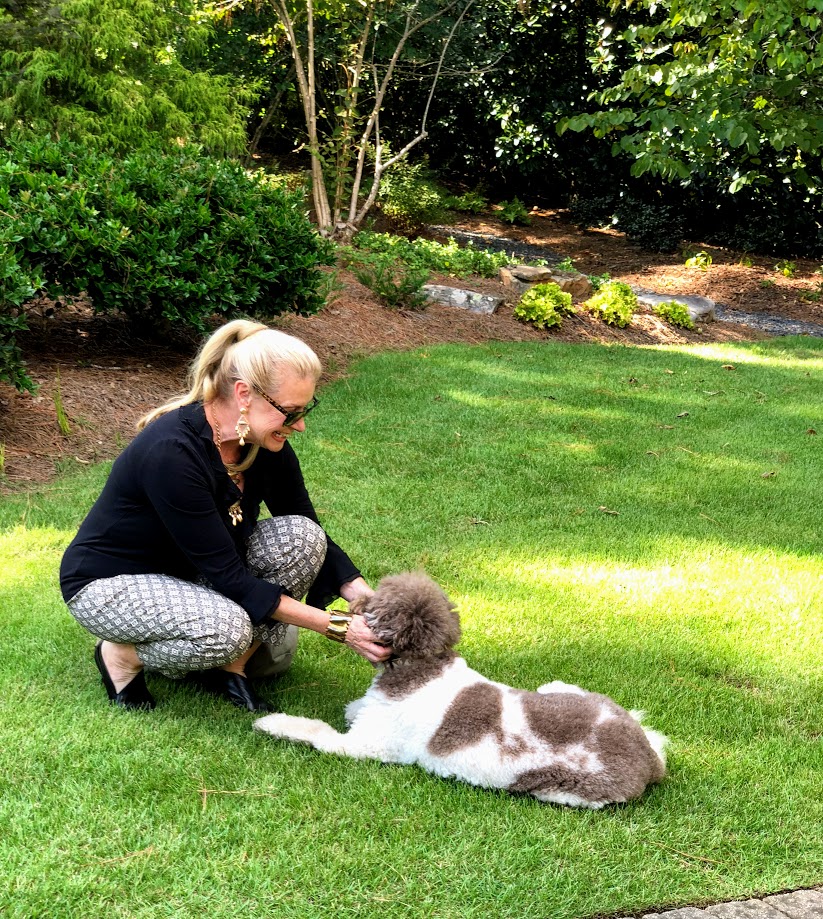 The Benefits of Having a Dog