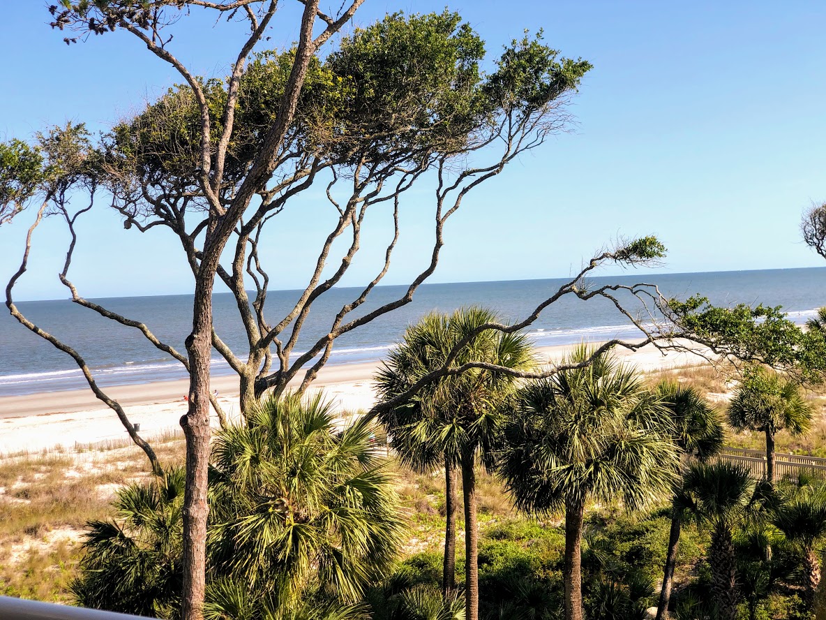Hilton Head ocean view in Palmetto Dunes