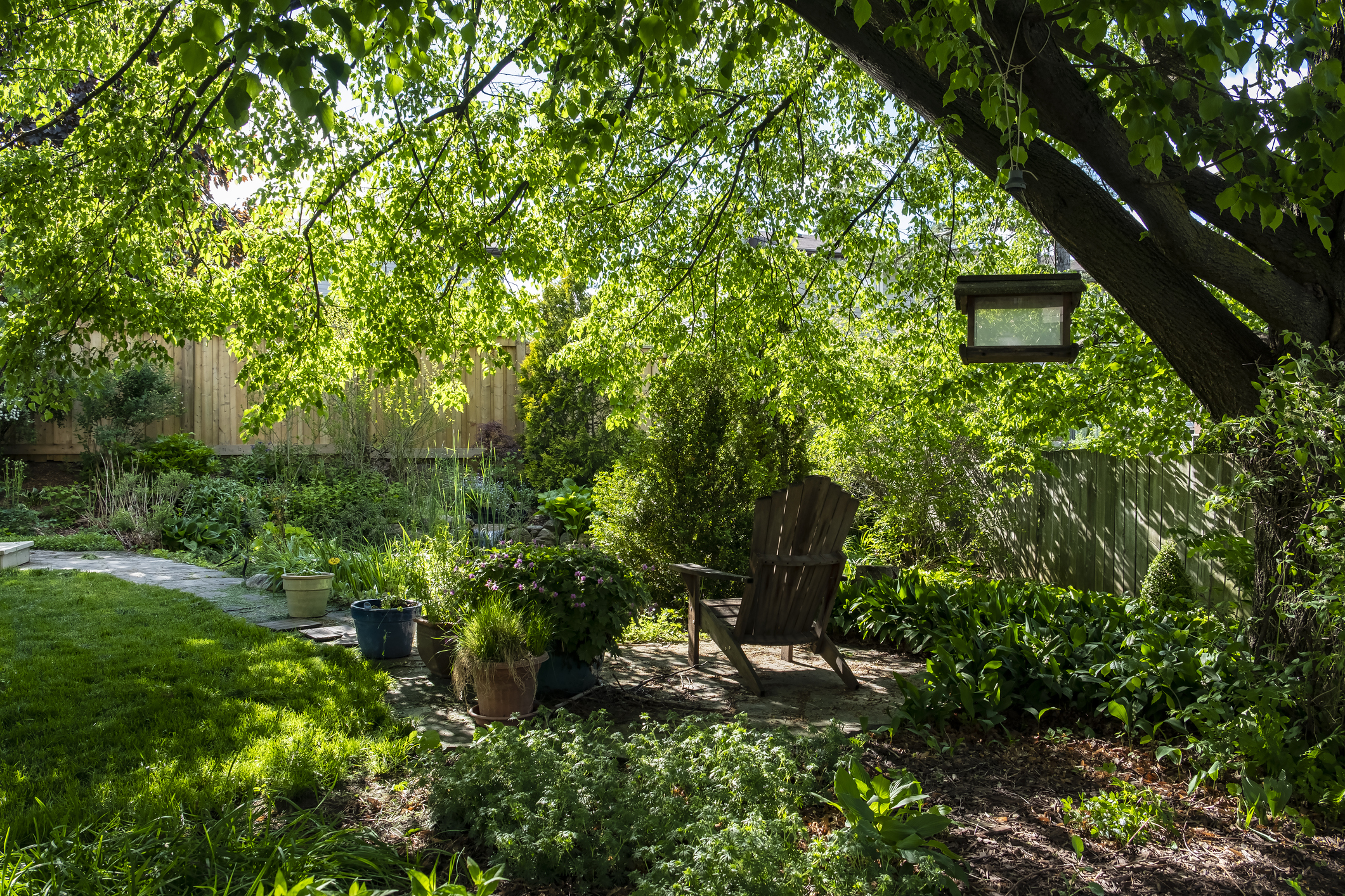 A Backyard Oasis With Plants, Trees and a Pond