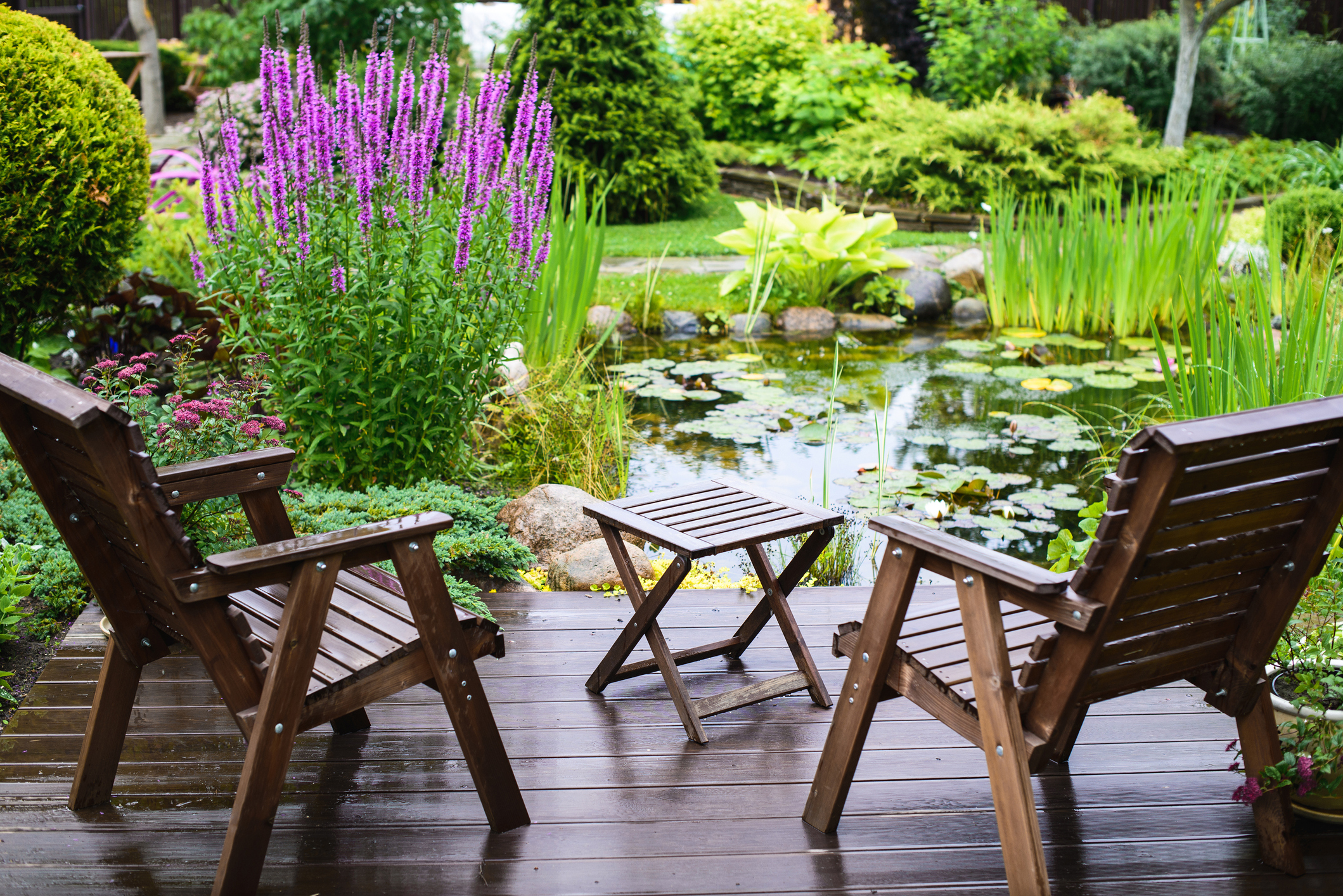 Garden chairs near the pond in a beautiful garden