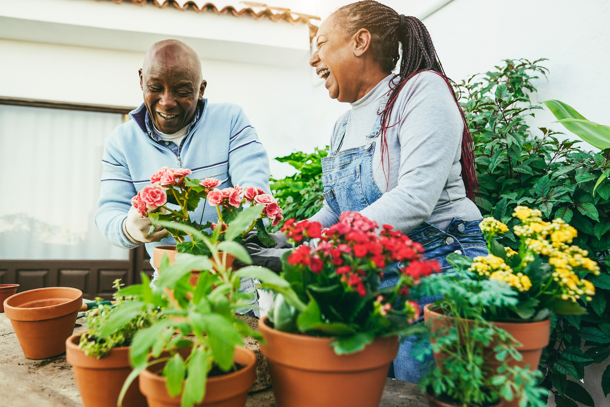 Senior man and women preparing flowers plants inside home garden outdoor