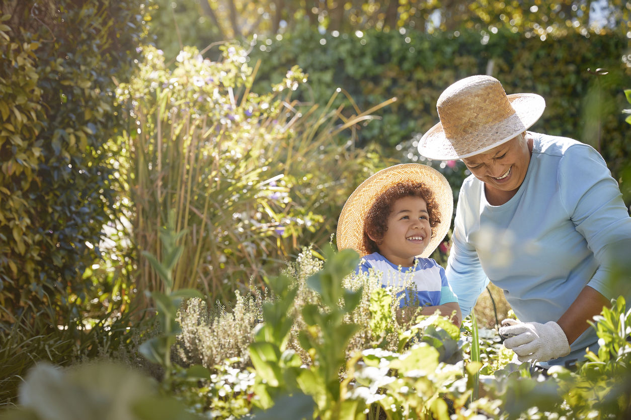 grandmother and grandchild gardening in outdoor vegetable garden in spring or summer season. Cute little boy enjoys planting new flowers and vegetable plants.