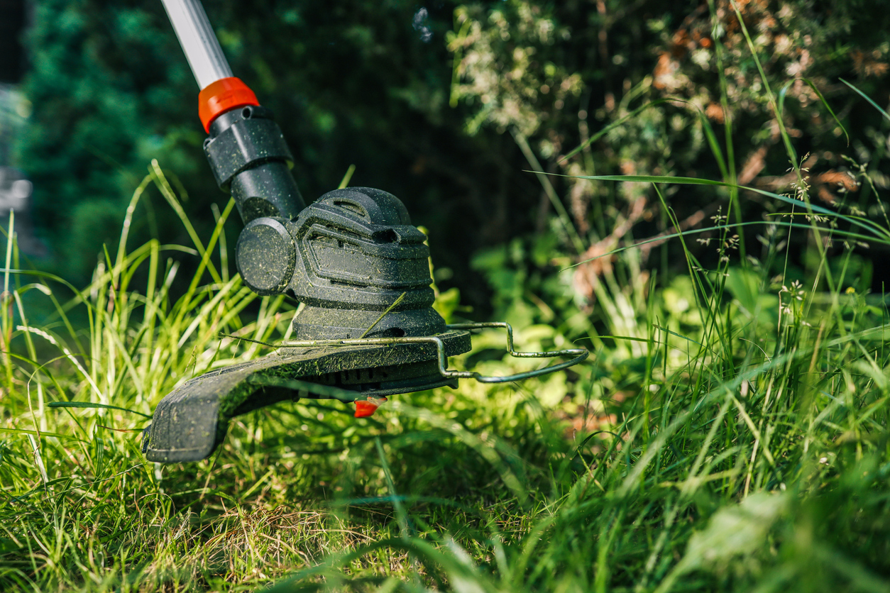 Close-up of a string trimmer cutting grass in a lush lawn. Ideal for landscaping, yard work, garden maintenance, or outdoor power tool concepts